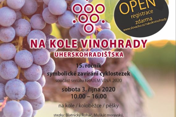 Na kole vinohrady Uherskohradišťska