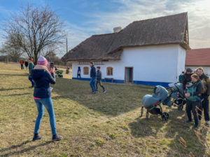 Den otevřených dveří a větrání peřin