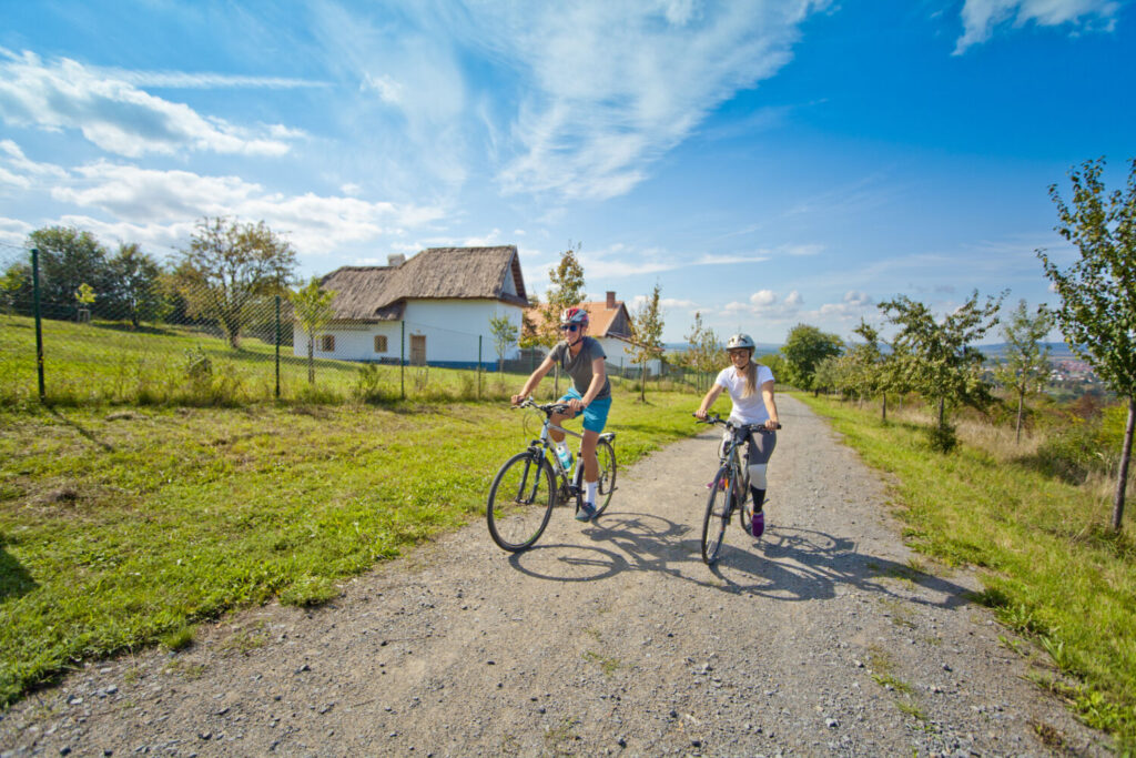 8. května máme otevřeno!