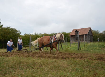 Změna otevírací doby 12. 10. 2024